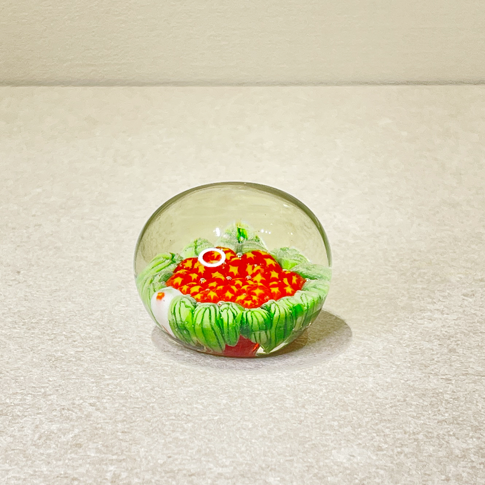 Little green leaves &amp; little red flowers Paperweights